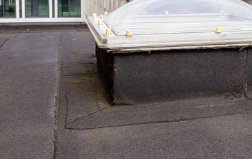 disadvantages of Arniston flat roofs