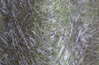 Arniston fibreglass roof work